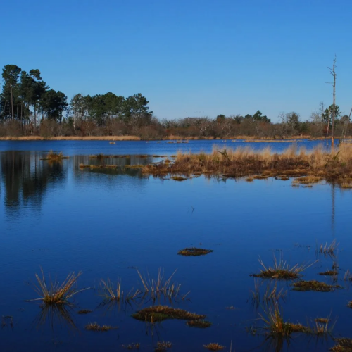 Pompage de lagune en Bretagne – Gestion de volumes d’eau importants